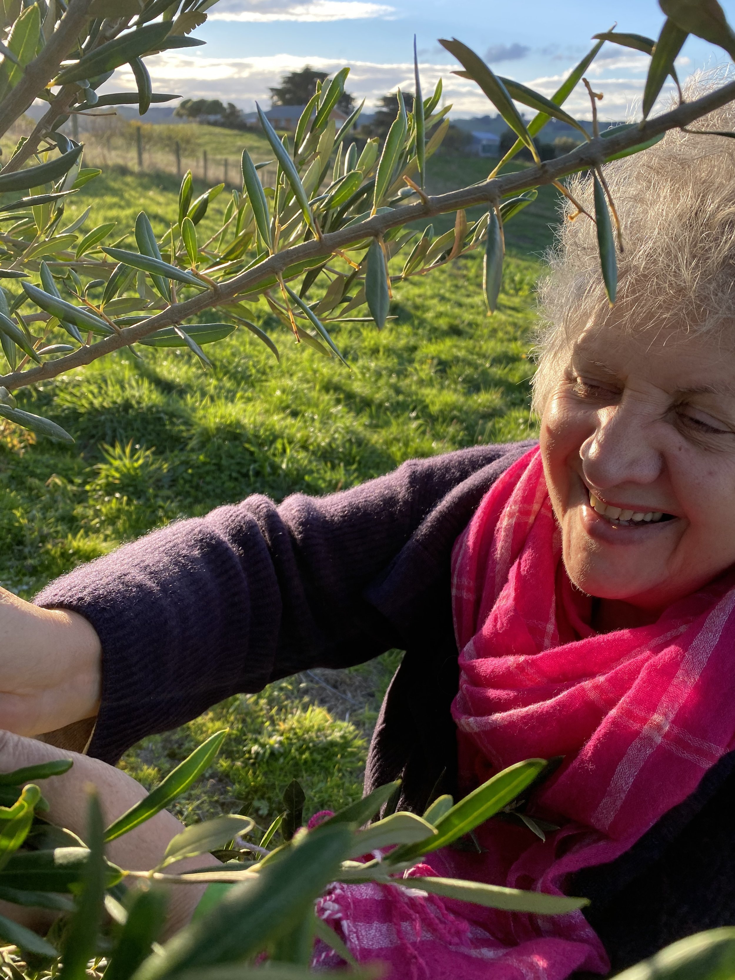 A woman smiling while taking a selfie outdoors near an olive tree during sunset, with lush green grass and a fence in the background.