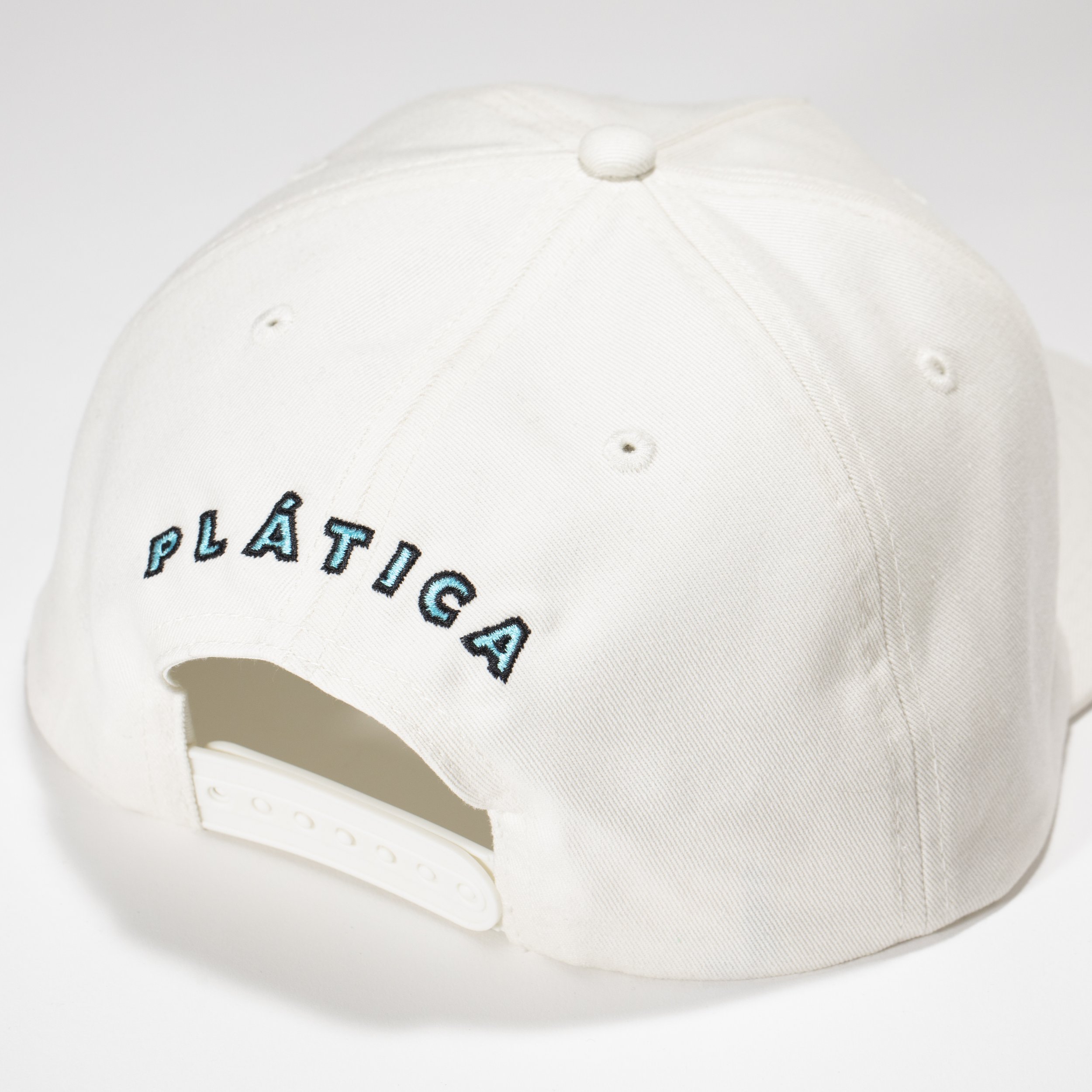 plat_alt4.jpg