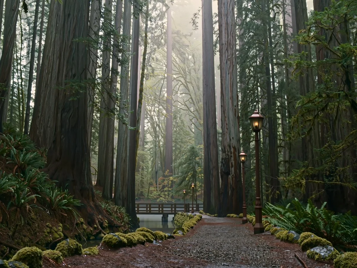 Park Trail