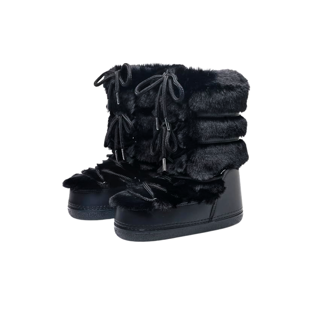 Snow Shoes.png