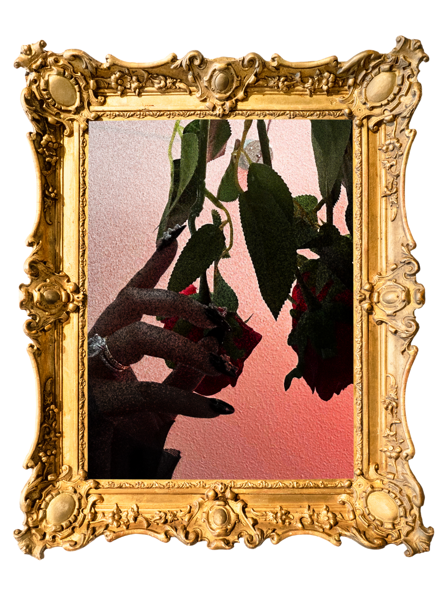 Author Shenaye Suggs