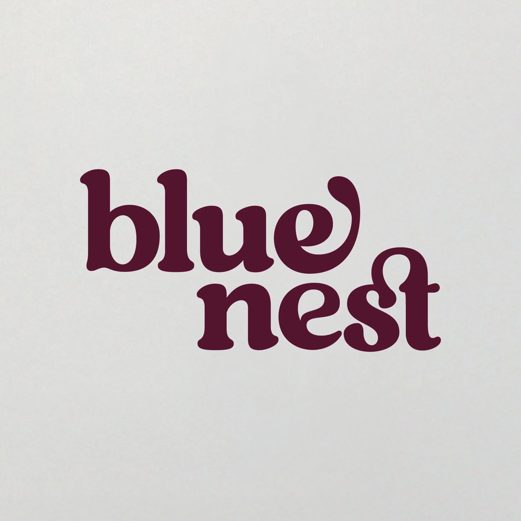 Blue Nest Coffee