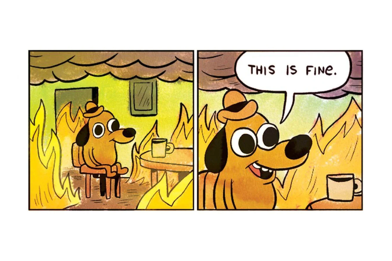 The first two cells of artist KC Green's comic "On Fire." It has since become a meme online called "This Is Fine." ( KC Green )