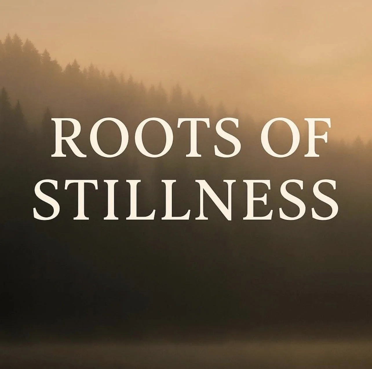 Roots of Stillness