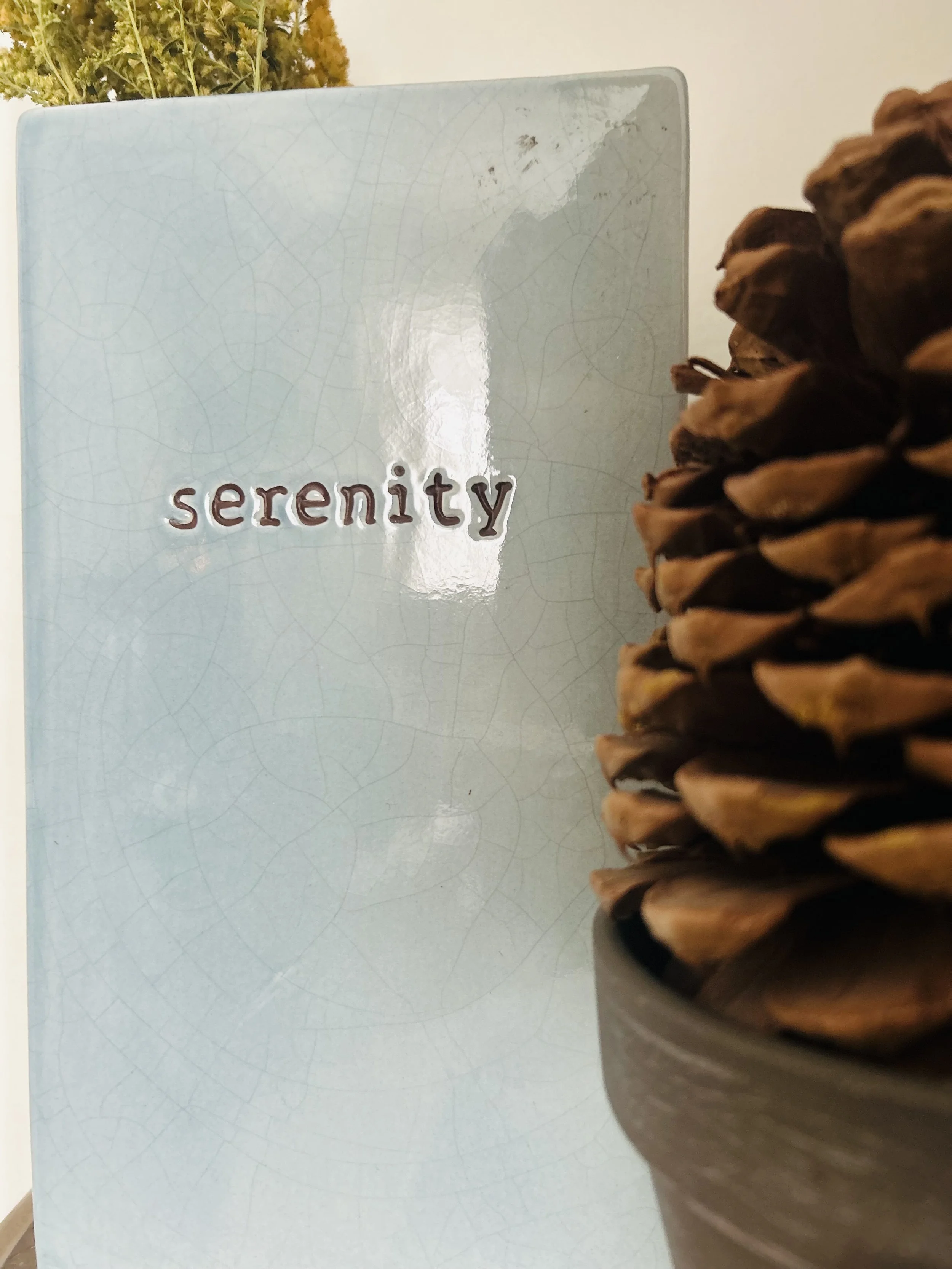 A light blue decorative panel with the word 'serenity' embossed on it, next to a pine cone in a small pot.