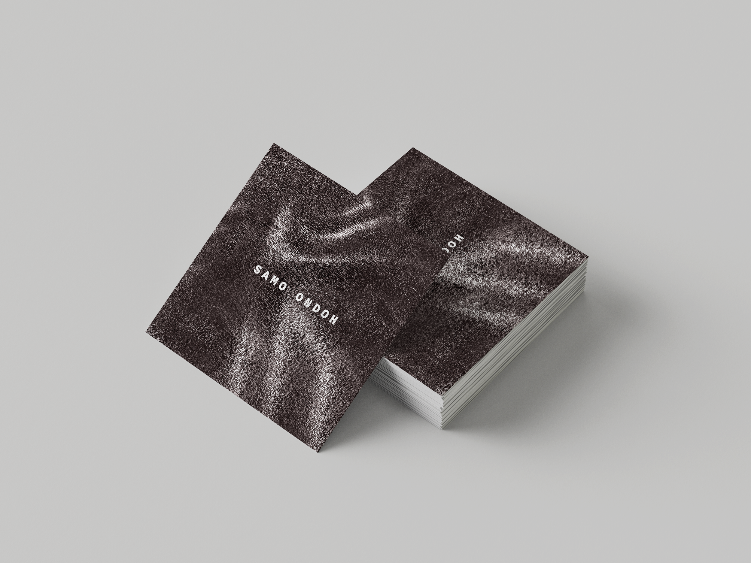 A book titled 'Homo Sapiens' with a dark textured cover, opened slightly, resting on a plain gray surface.