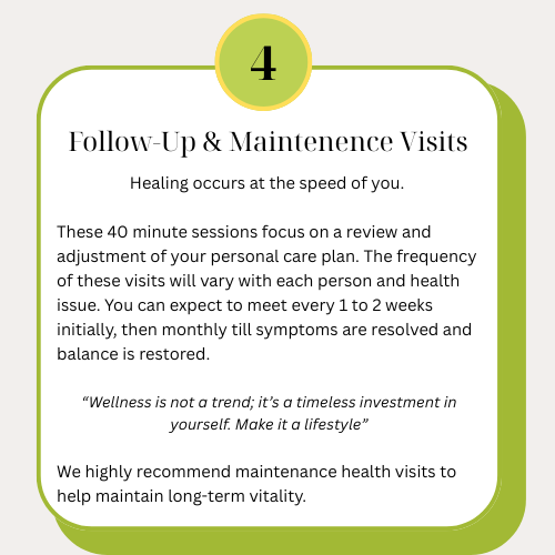 A wellness guide section titled 'Follow-Up & Maintenance Visits' describing 40-minute personalized care plan reviews, emphasizing the importance of regular health check-ins for maintaining vitality, with a quote about wellness as a timeless investment.