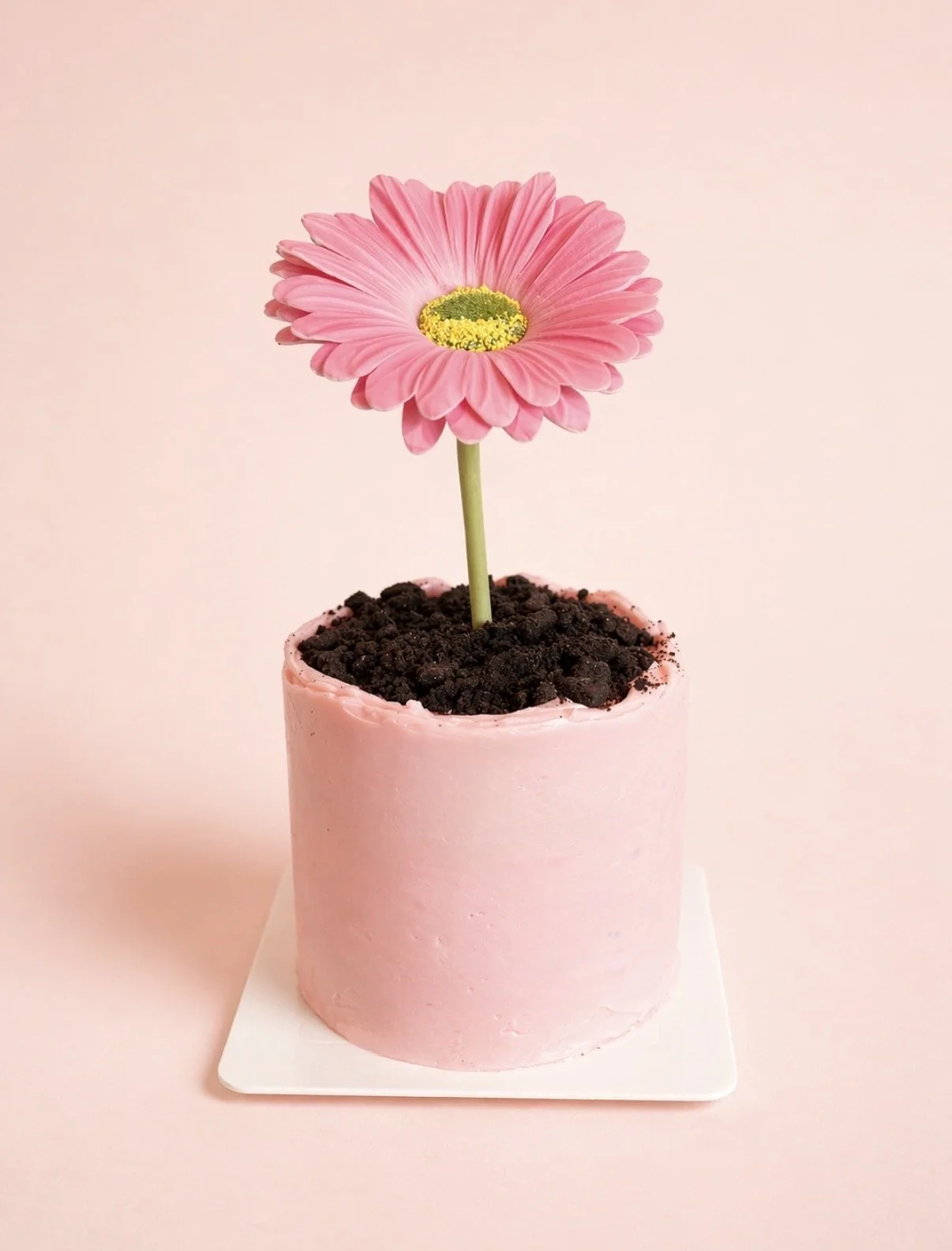 Flower Pot Mini Cake