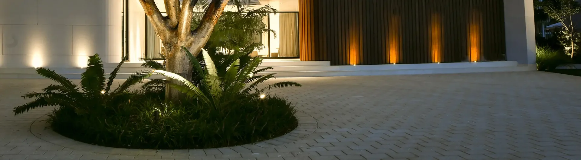 Night view of the exterior of a modern building with illuminated windows, a tree, and landscaped plants with lighting around them.