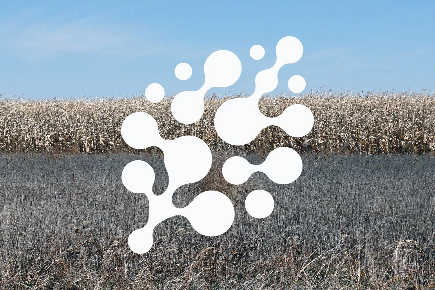 BioTech Signs 10‑Year RNG Offtake MOU for Nebraska Site #1