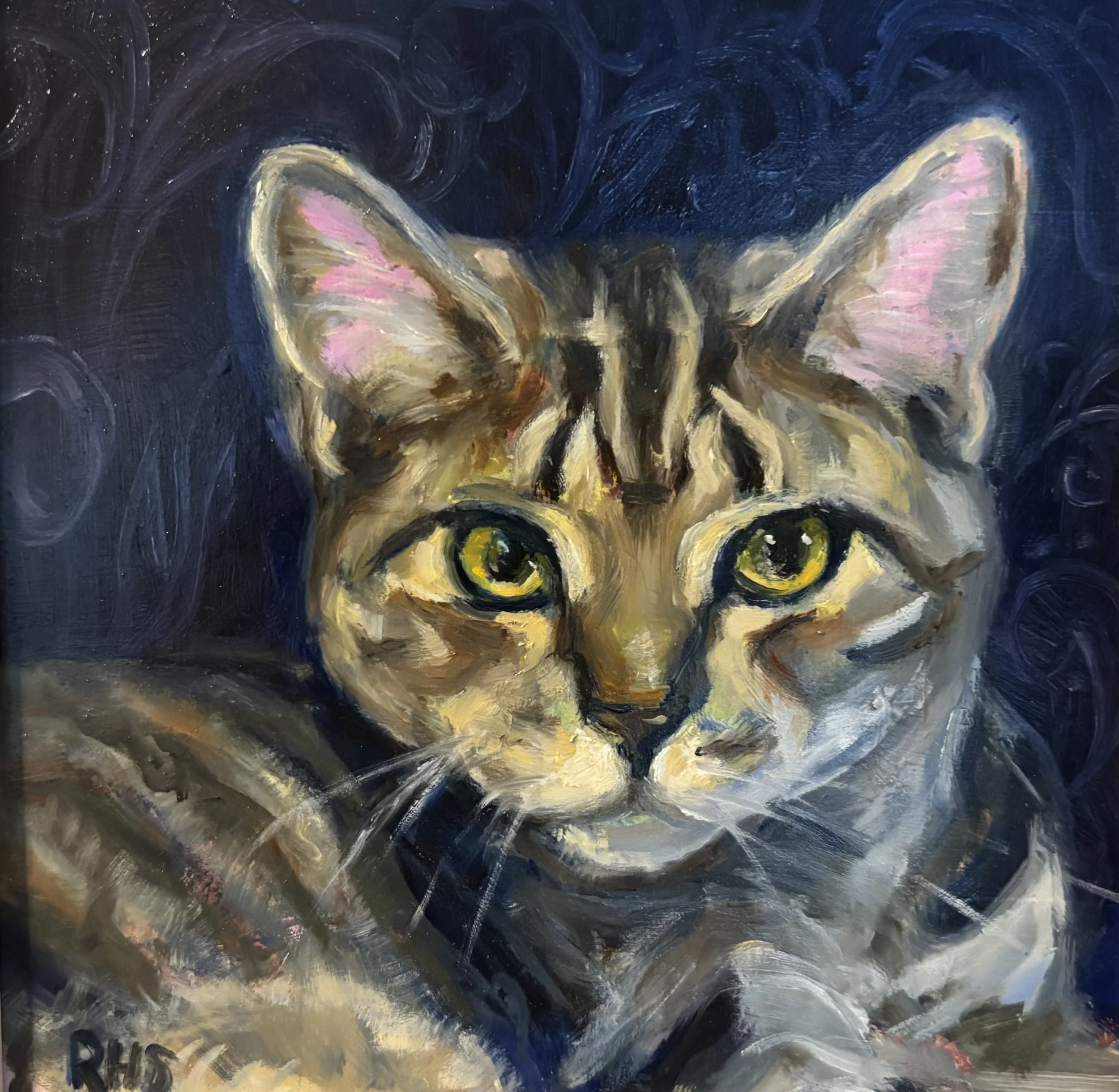 Rocky, oil, 6x6.jpg