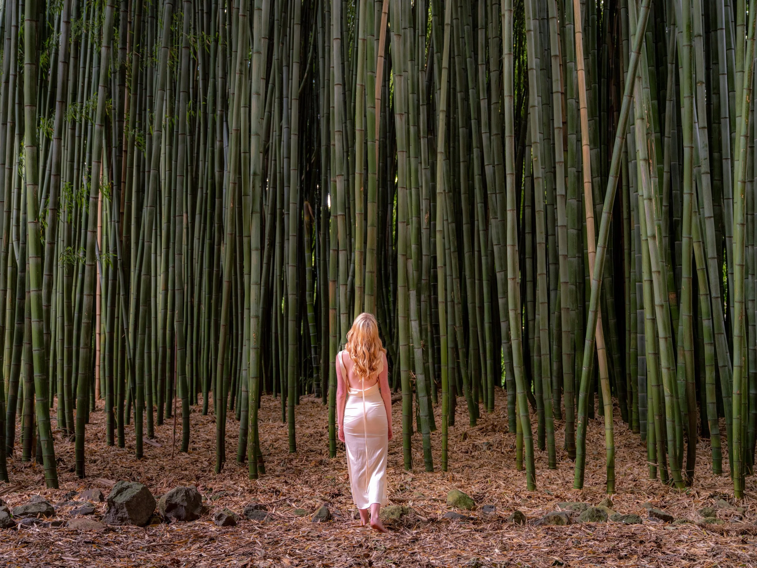 Seasonal Signature: Fresh Bamboo Shoots