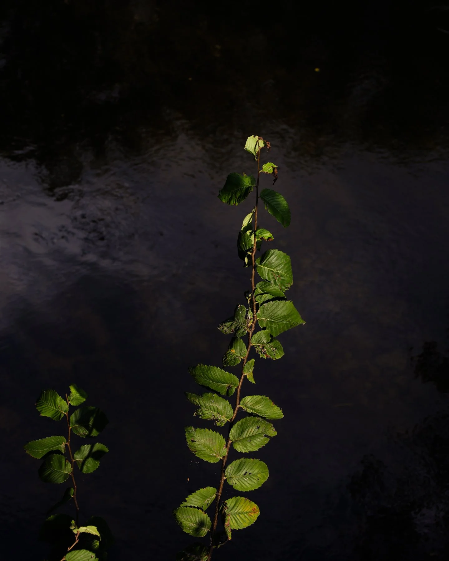 20230409-moon limb.jpg