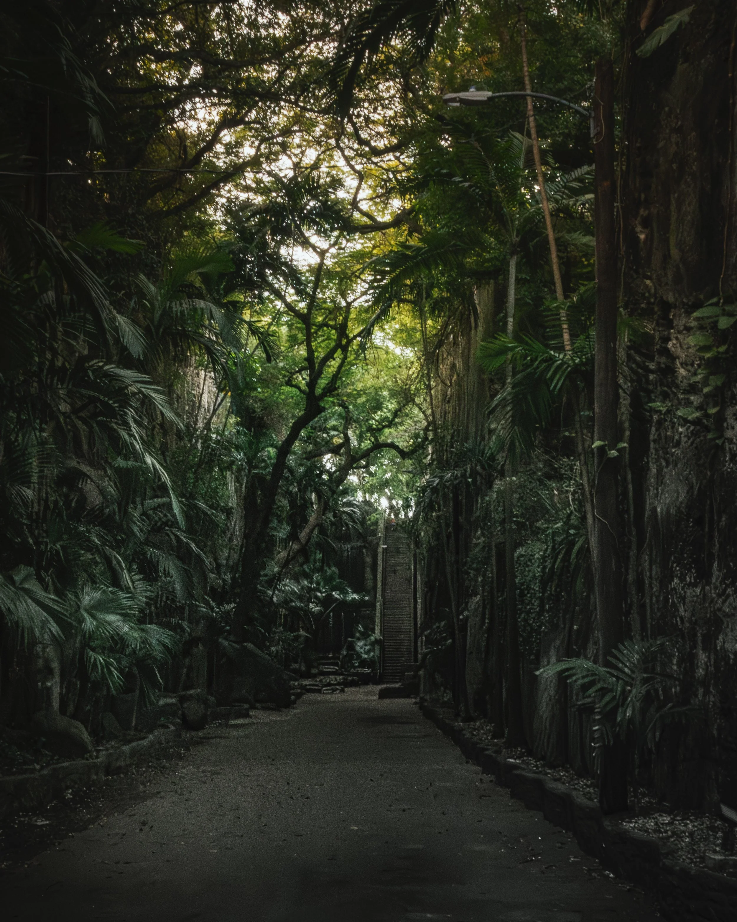 A narrow garden pathway surrounded by lush green tropical plants and trees, with stairs at the end of the path leading upward, and natural light filtering through the foliage.