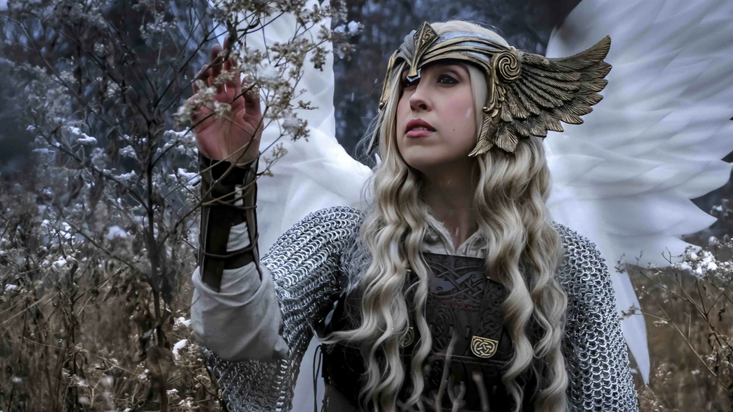 A woman dressed as Valkyrie with a golden winged helmet, long blonde hair, chainmail sleeves, and white wings, standing in a snowy field with dried plants and snow-covered bushes.