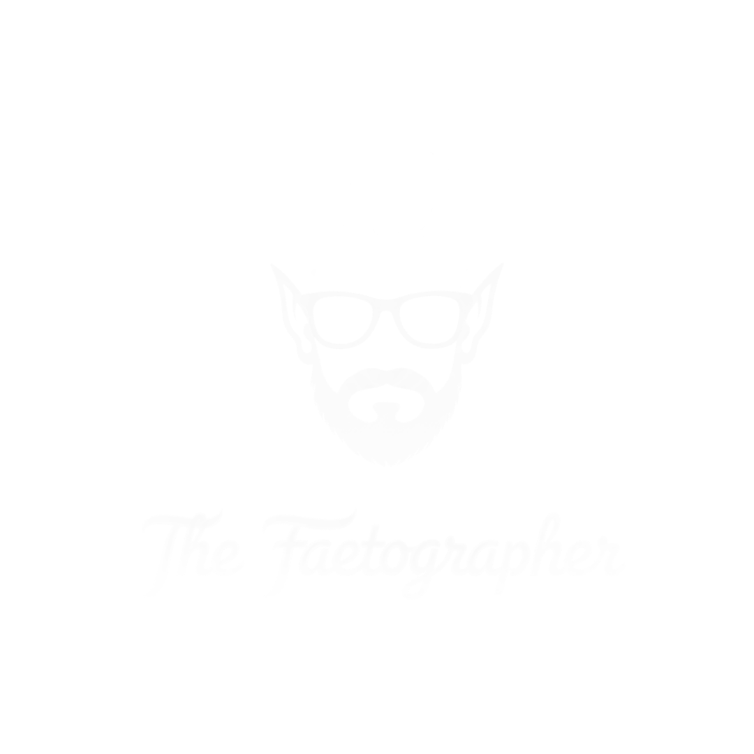 A black and white logo featuring a stylized illustration of a man with spiked hair, a beard, and wearing sunglasses, with the text "The Faetographer" written below in cursive.