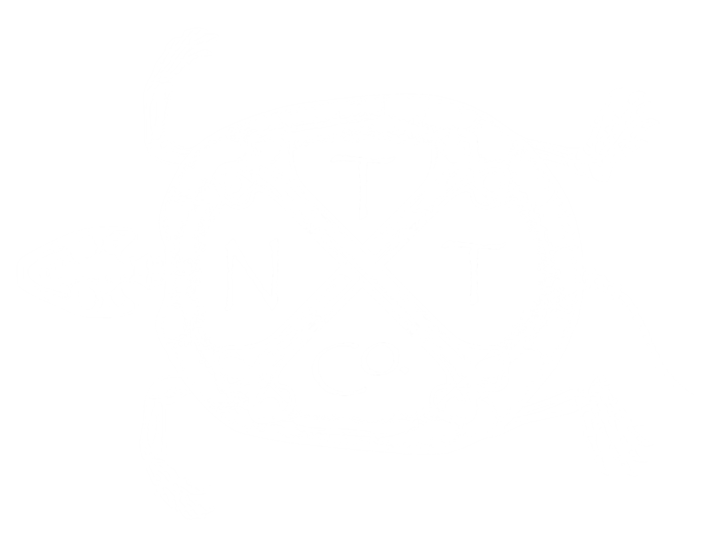 A white line drawing of a turtle with a fish skull attached, over a black background, with the letters 'N T C' inside the turtle's shell.