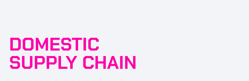 Pink text on a gray background displaying the words "Domestic Supply Chain".