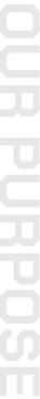 Text reading 'YOUR PURPOSE' in large, dark blue letters on a white background.