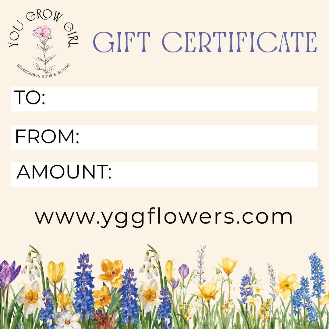 Gift Certificate