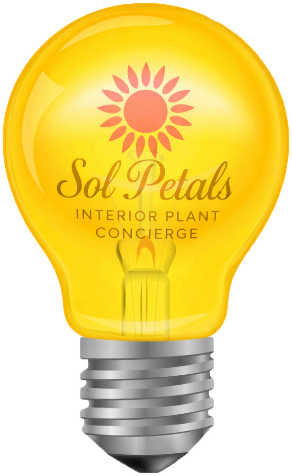 Yellow light bulb with pink flower design and gold text that reads "Sol Petals Interior Plant Concierge".