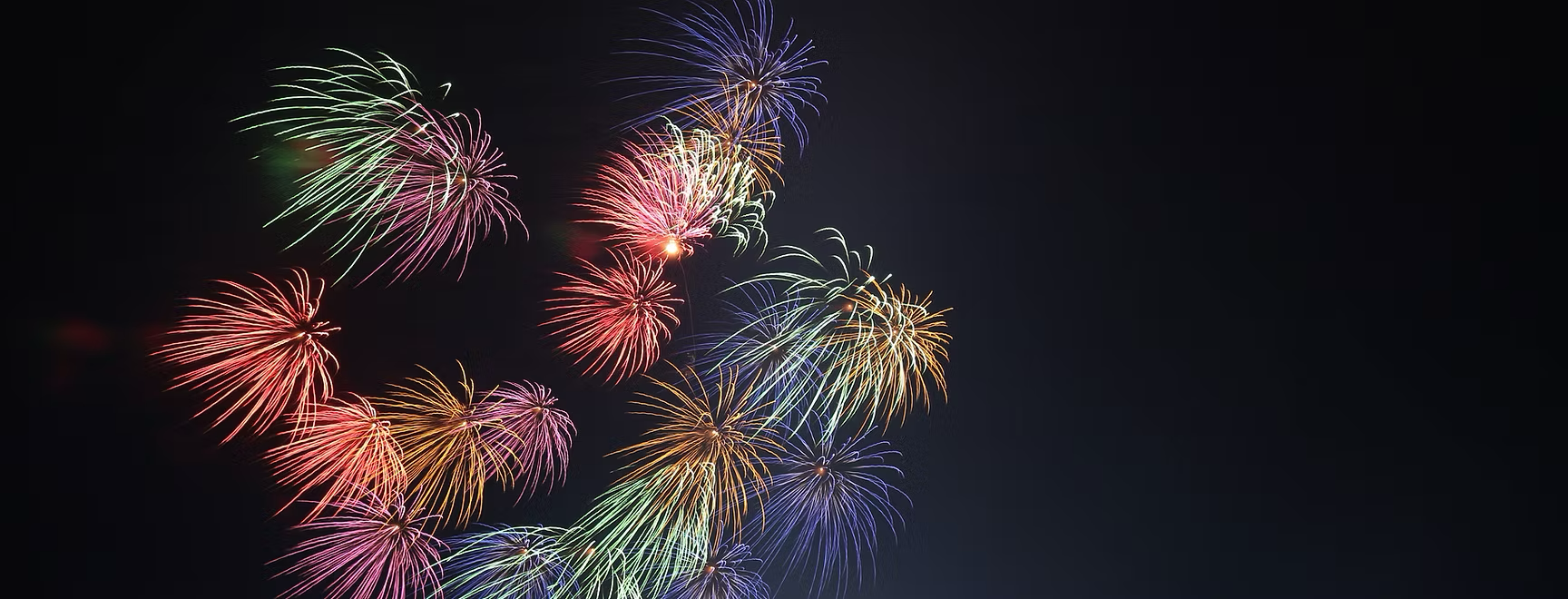 Firework Photo 2.png