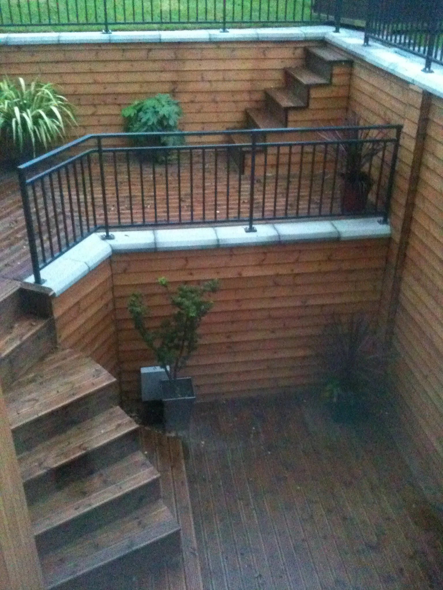 An outdoor corner with wooden steps, a black metal railing, and two potted plants against wooden siding. The steps are on the left, and there are house plants and a shrub in black pots.