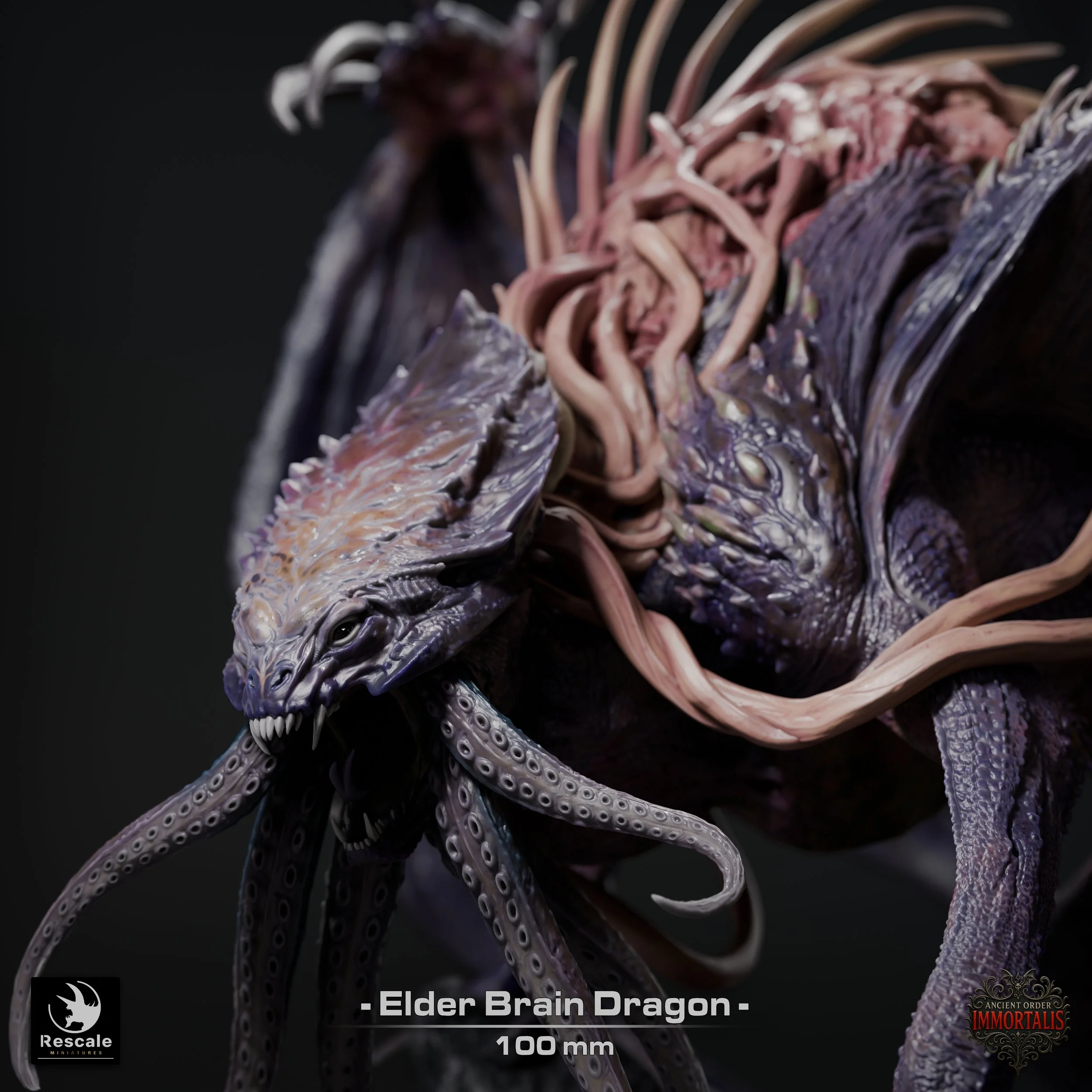 ElderBrainDragon_Close01.jpg