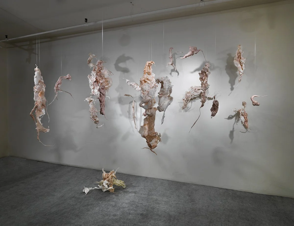 Menagerie Installation 