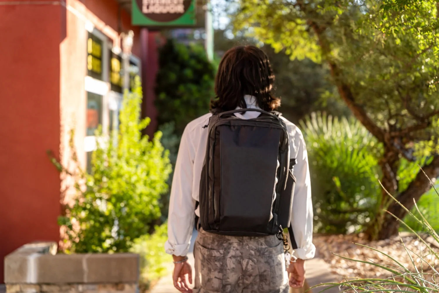 PocketCicada-5 (1).webp