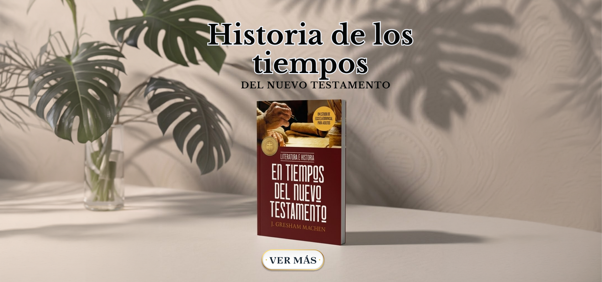 historia de los.png