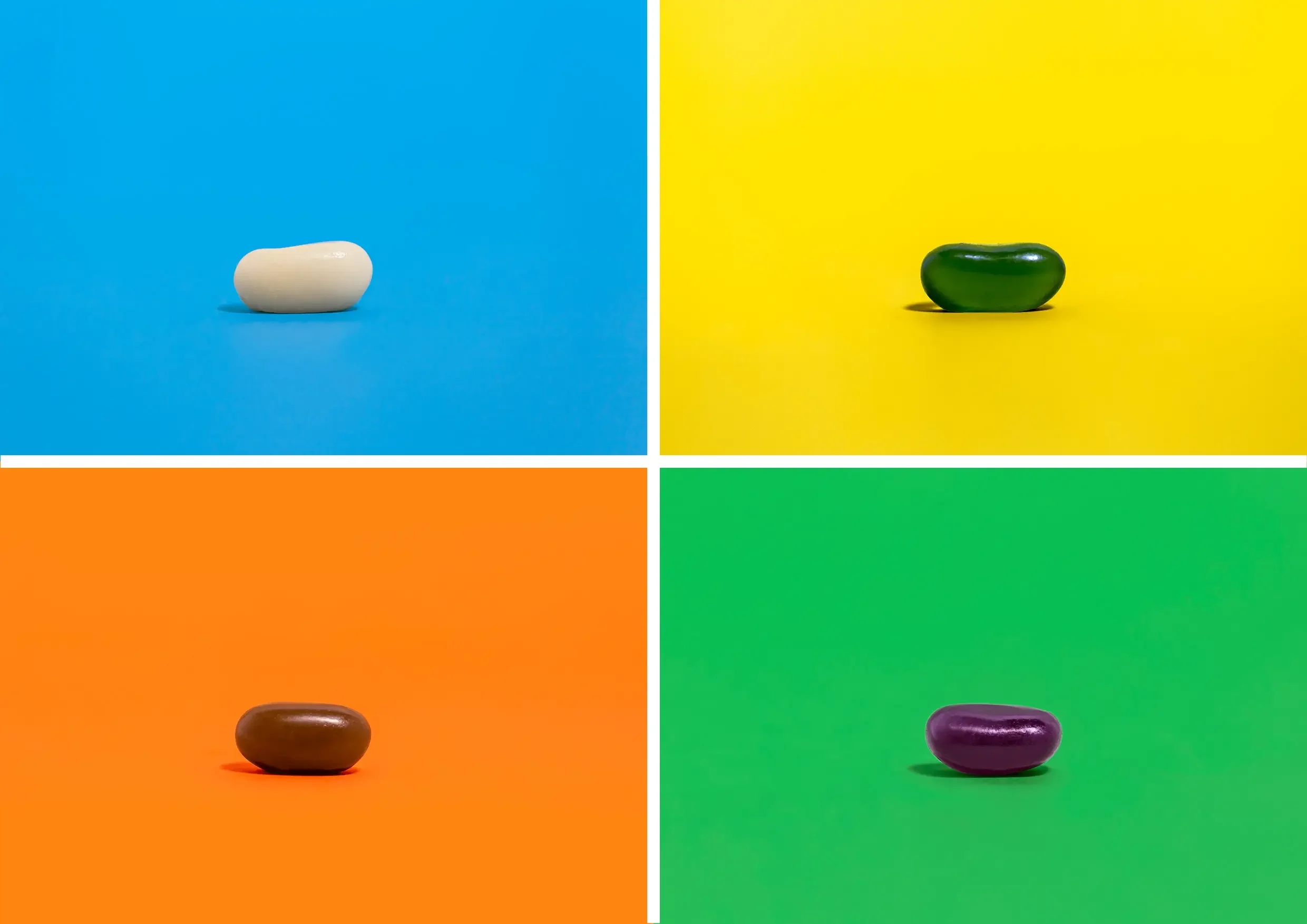 Welly Beans in a grid for Visa Wellington on a plate