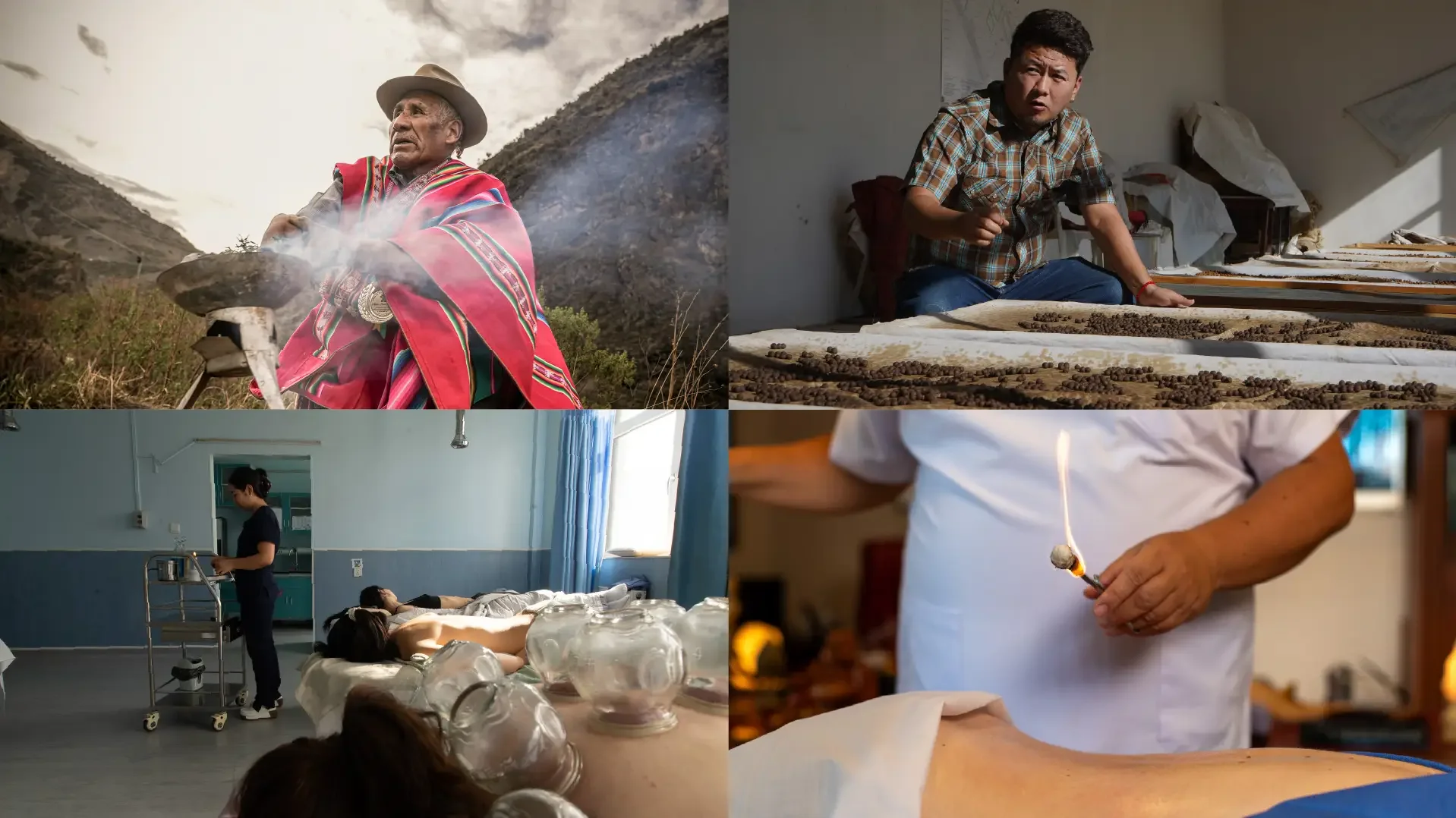 Traditional medicine practices documented across multiple regions for the World Health Organization global project