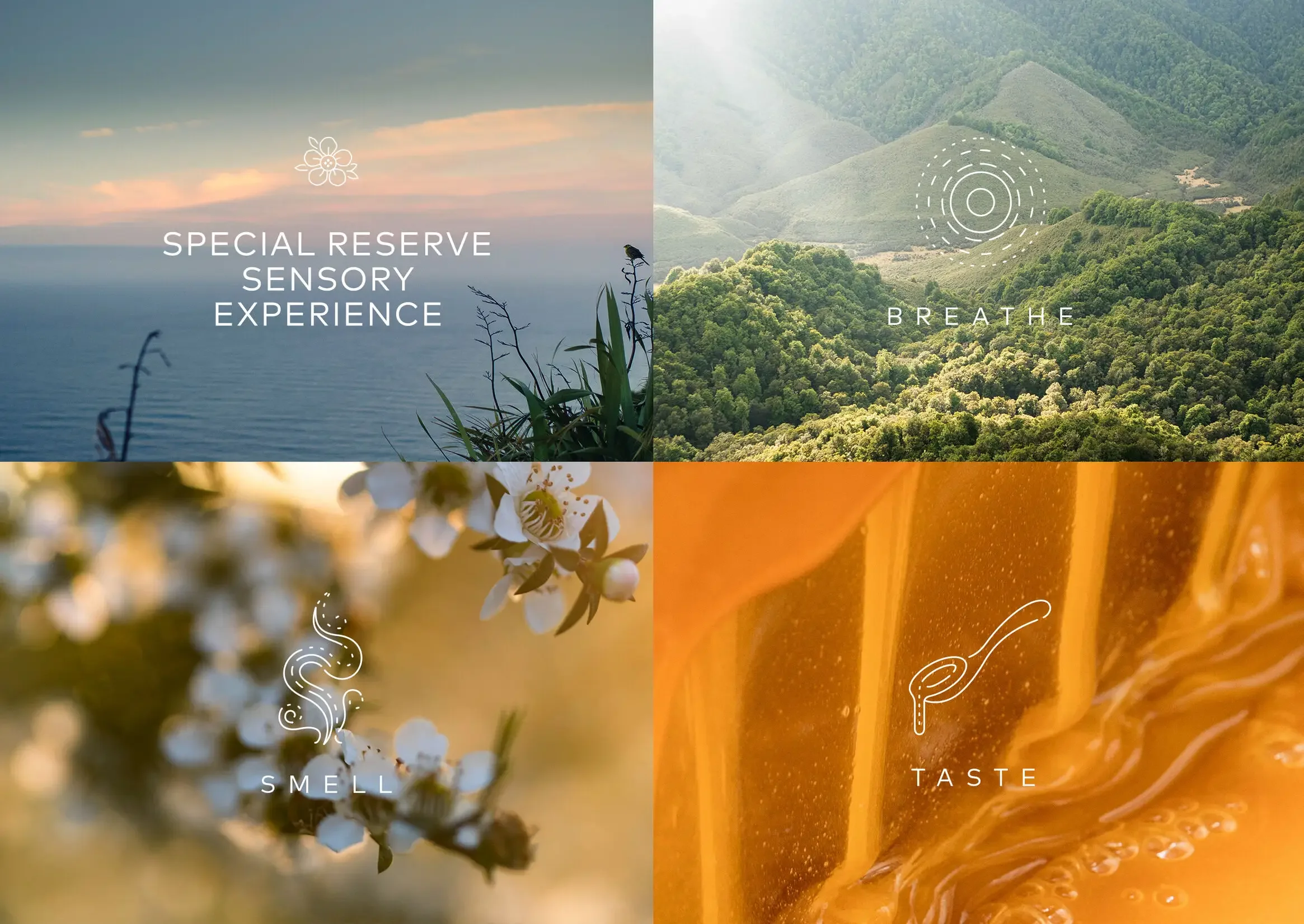 Nature-led campaign visuals for Comvita Special Reserve Manuka Honey