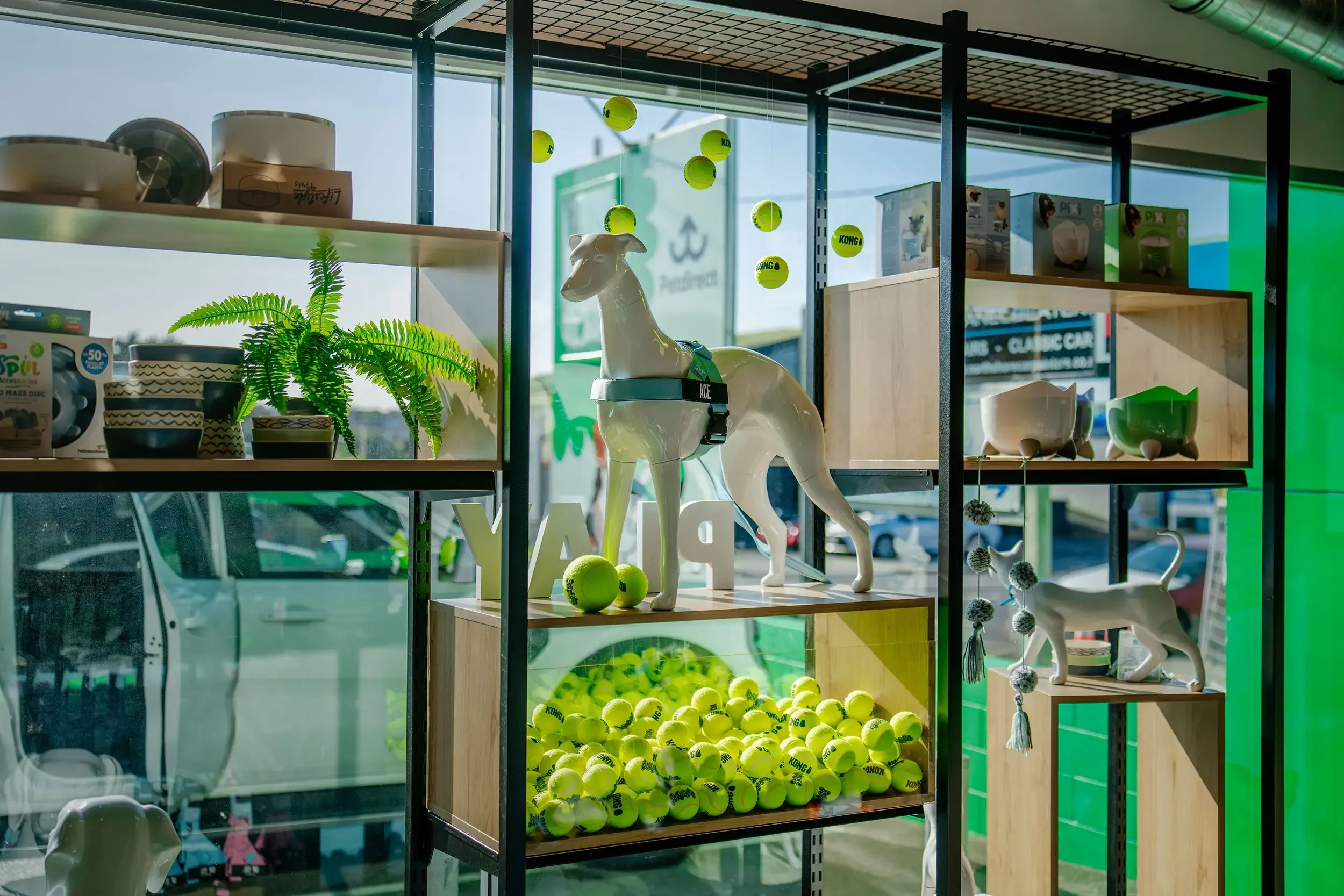 Interior of Petdirect retail store designed for pet owners