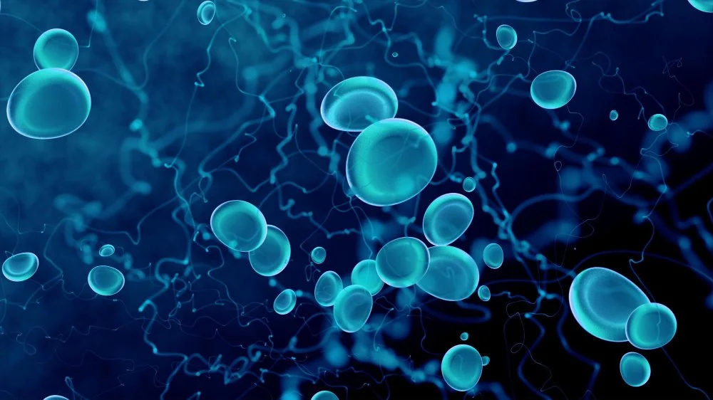 Digital illustration of various glowing blue orbs and tangled lines representing microscopic particles or cells.