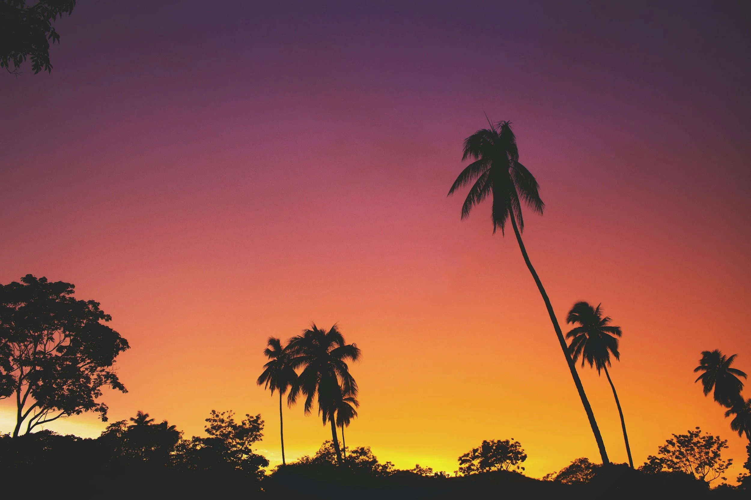 (Tout en) Volume 2 : Démêlée ! Quête sol’HAIR…