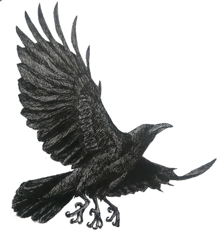 Follow the Three-Legged Crow in Tokyo