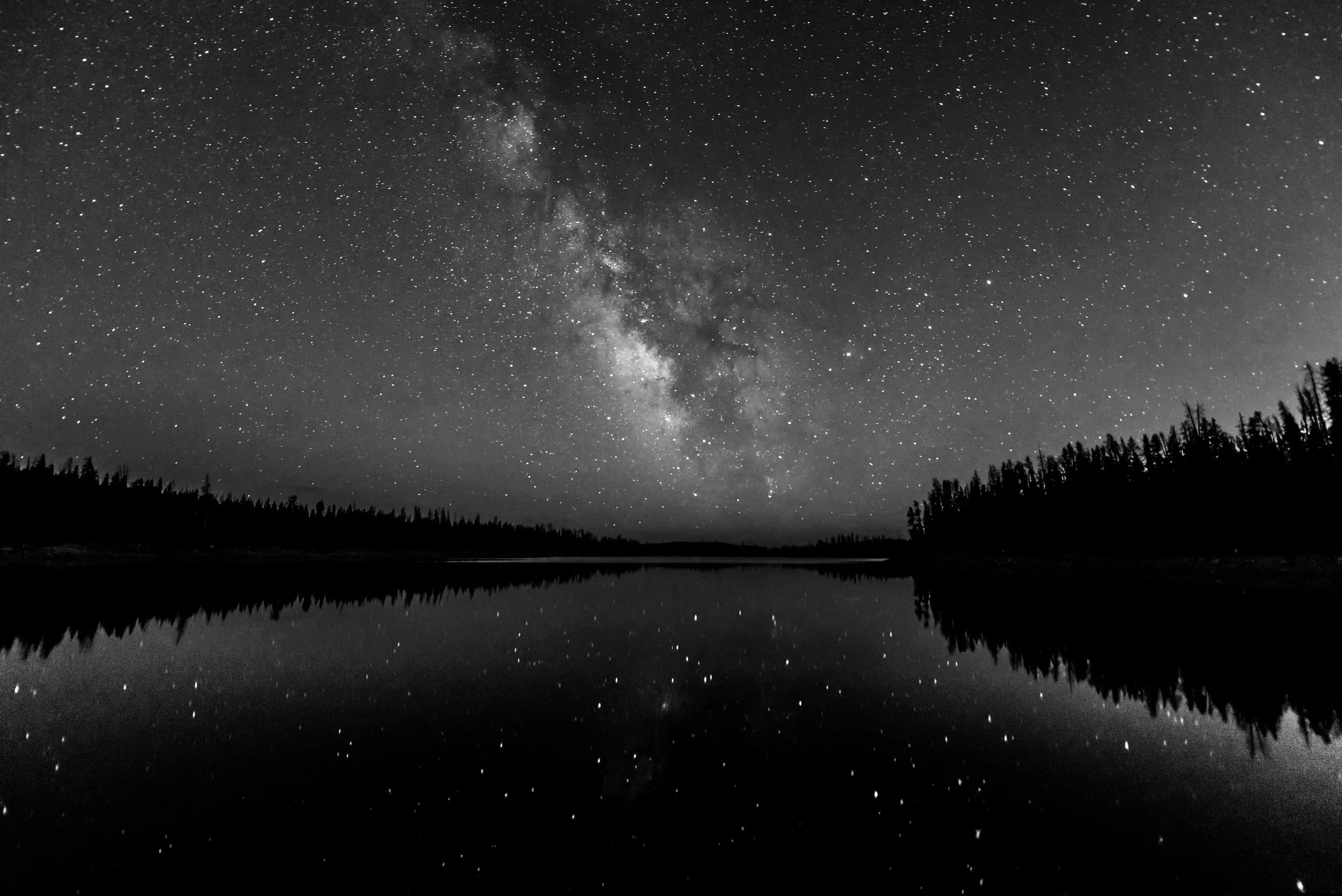 Black and white photo of a star-filled night sky and the Milky Way, with a calm lake reflecting the stars and a silhouette of trees along the horizon.