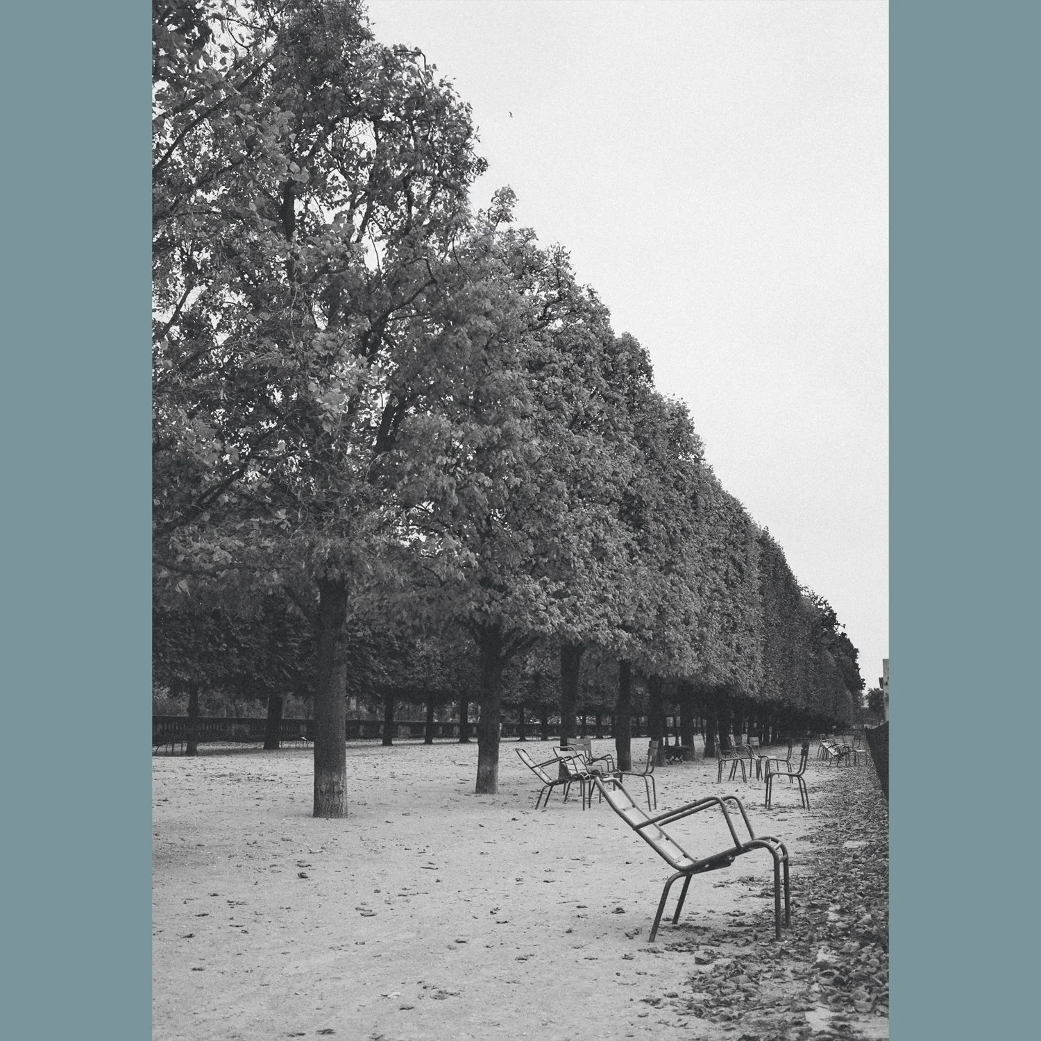 Chairs of Paris - Edition 3-web.jpg