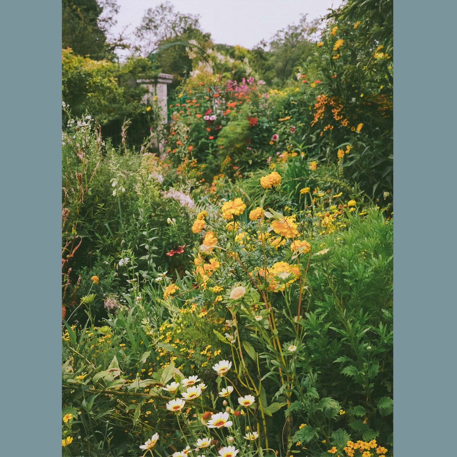 Summer in Giverny - Edition 5