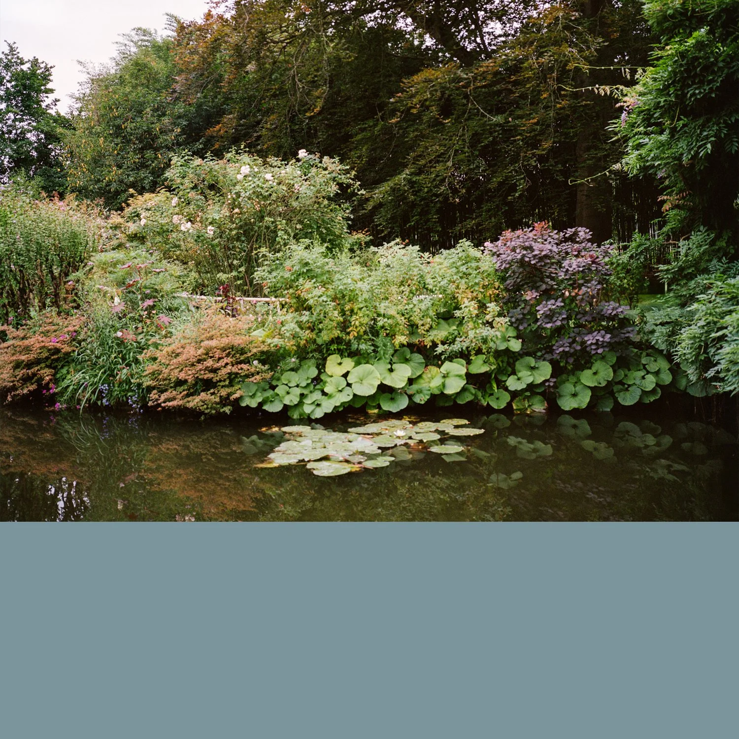 Summer in Giverny - Edition 3