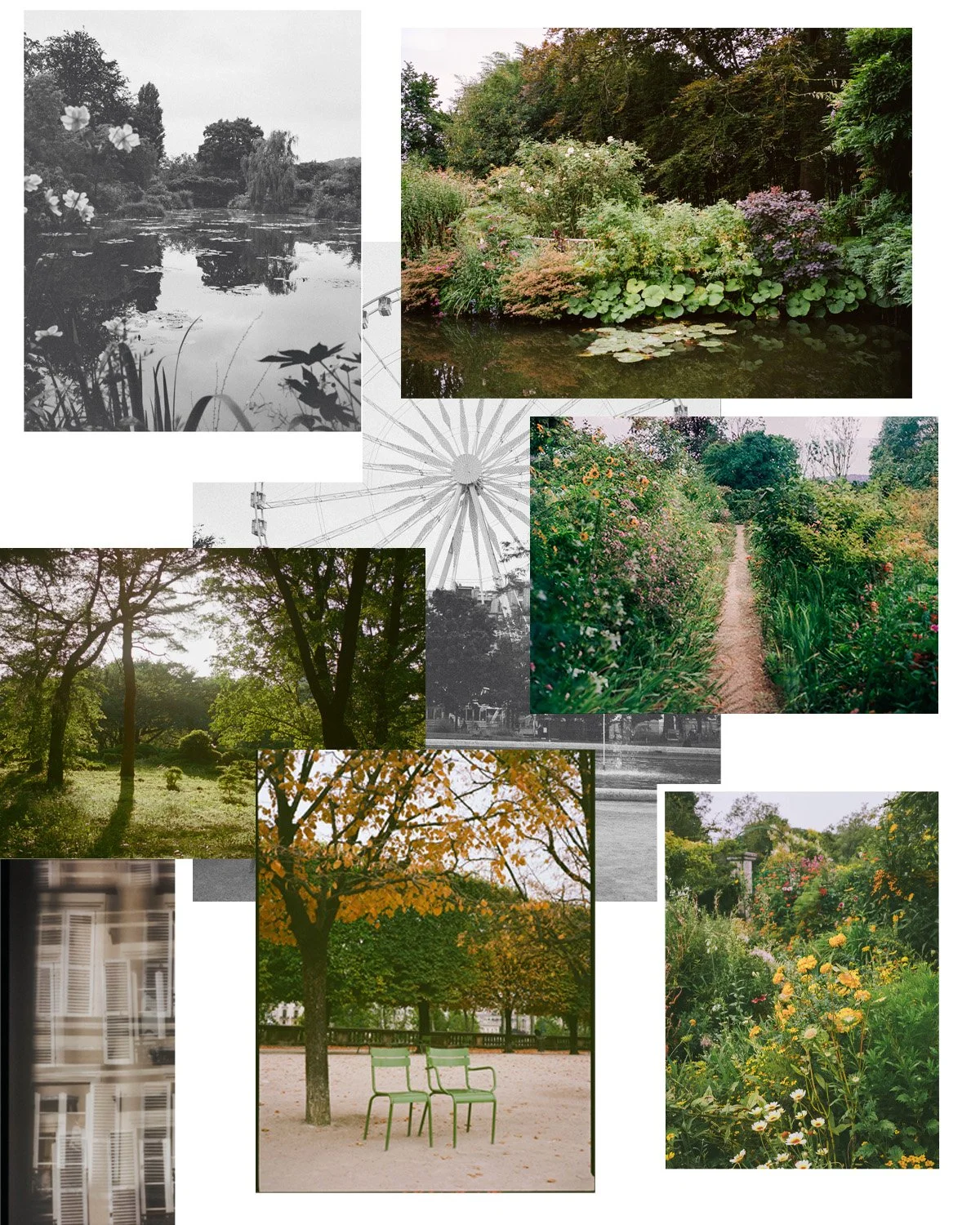 Keryn Sweeney fine art