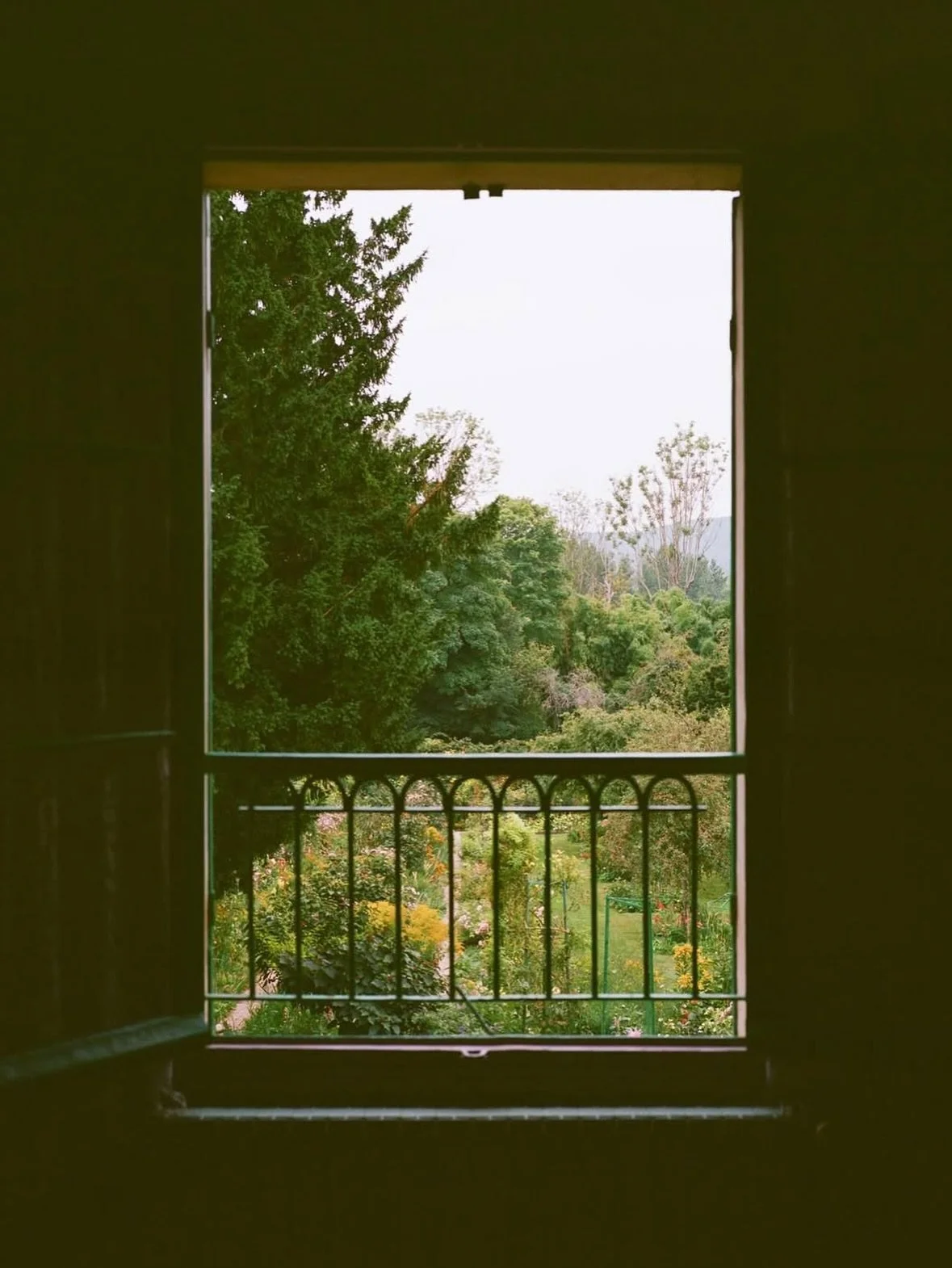 Nature in all her glory (shot on film by Keryn Sweeney)