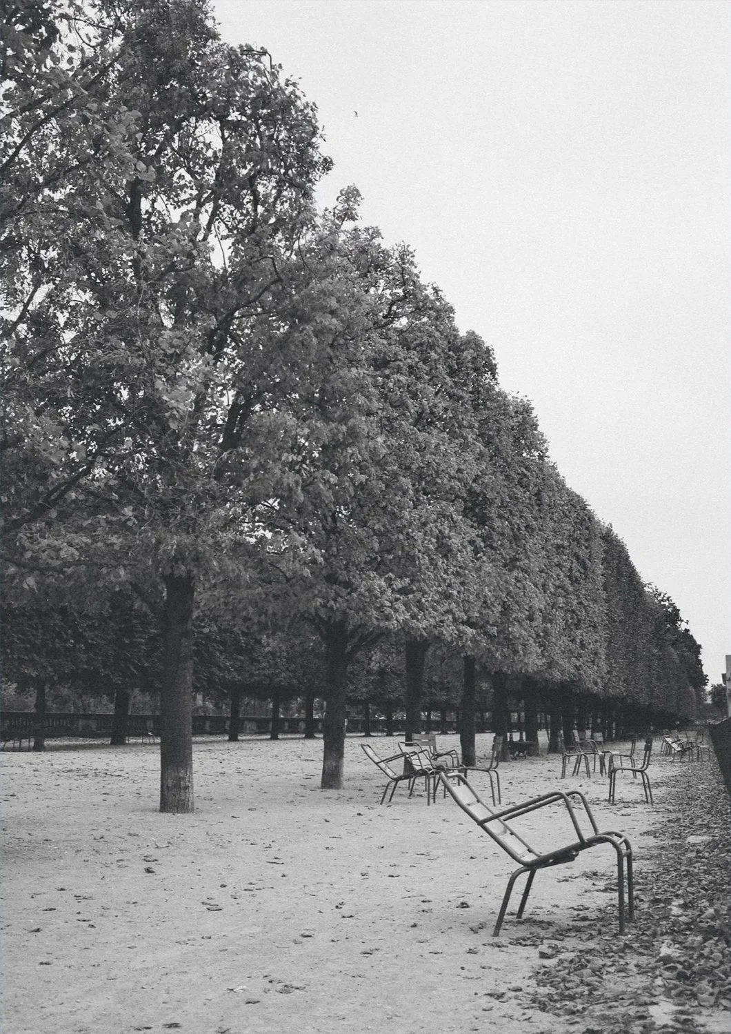 Chairs+of+Paris+-+Edition+3-web.jpg