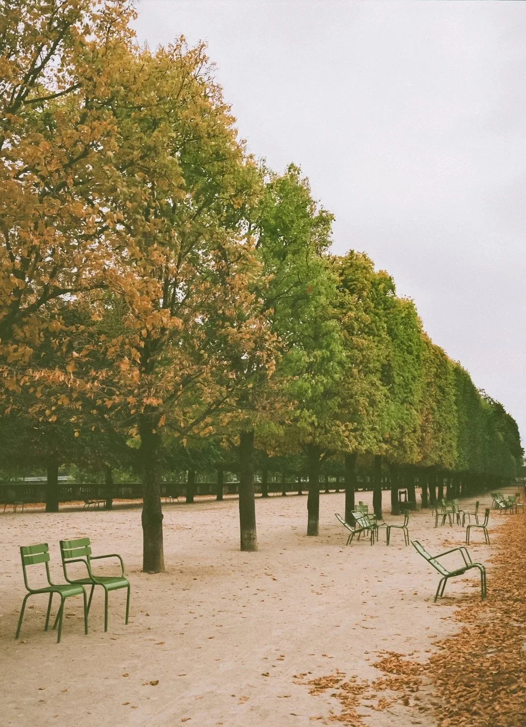 Chairs+of+Paris+-+Edition+4-web.jpg