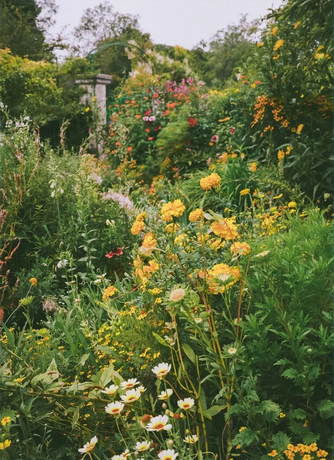 SUMMER+IN+GIVERNY+4+-+Edition+4-web.jpg