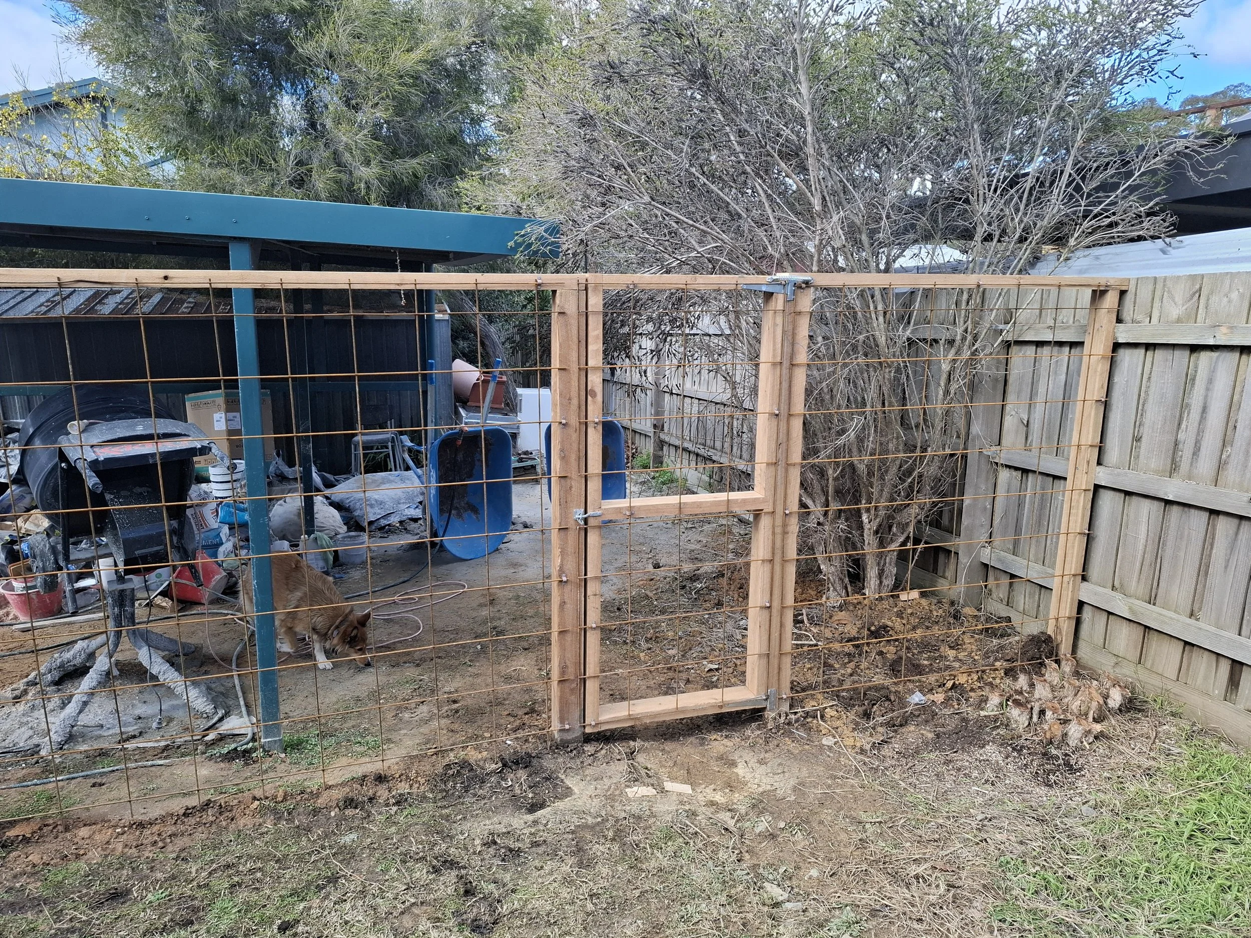 A fenced outdoor area with a gate, some tools, a dog, and a pile of dirt and leaves.