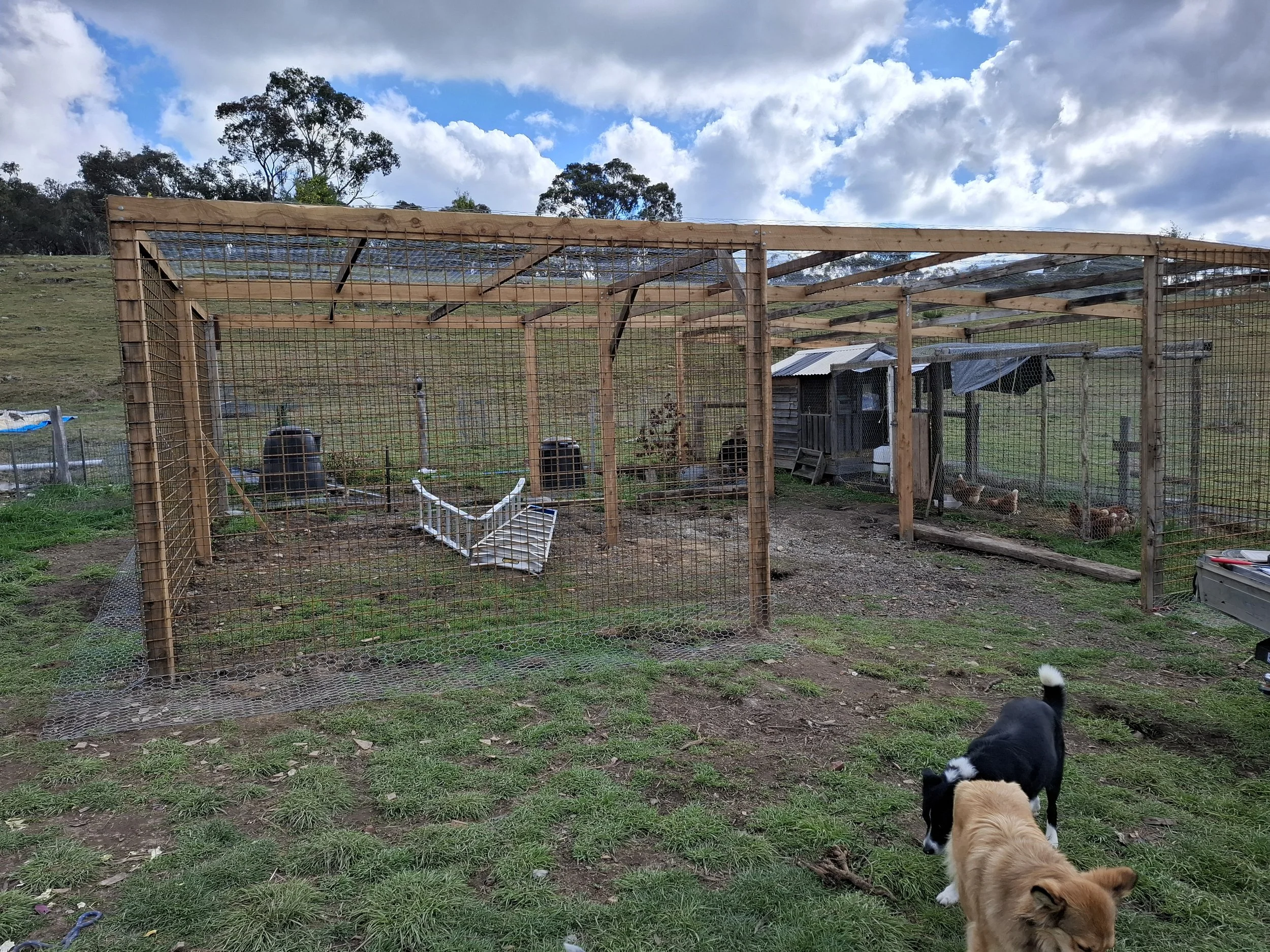 A wooden chicken coop with wire fencing on a grassy hillside. Inside the coop, chickens are visible, and two dogs are standing outside in front of it. The sky is partly cloudy with blue patches and trees are in the background.