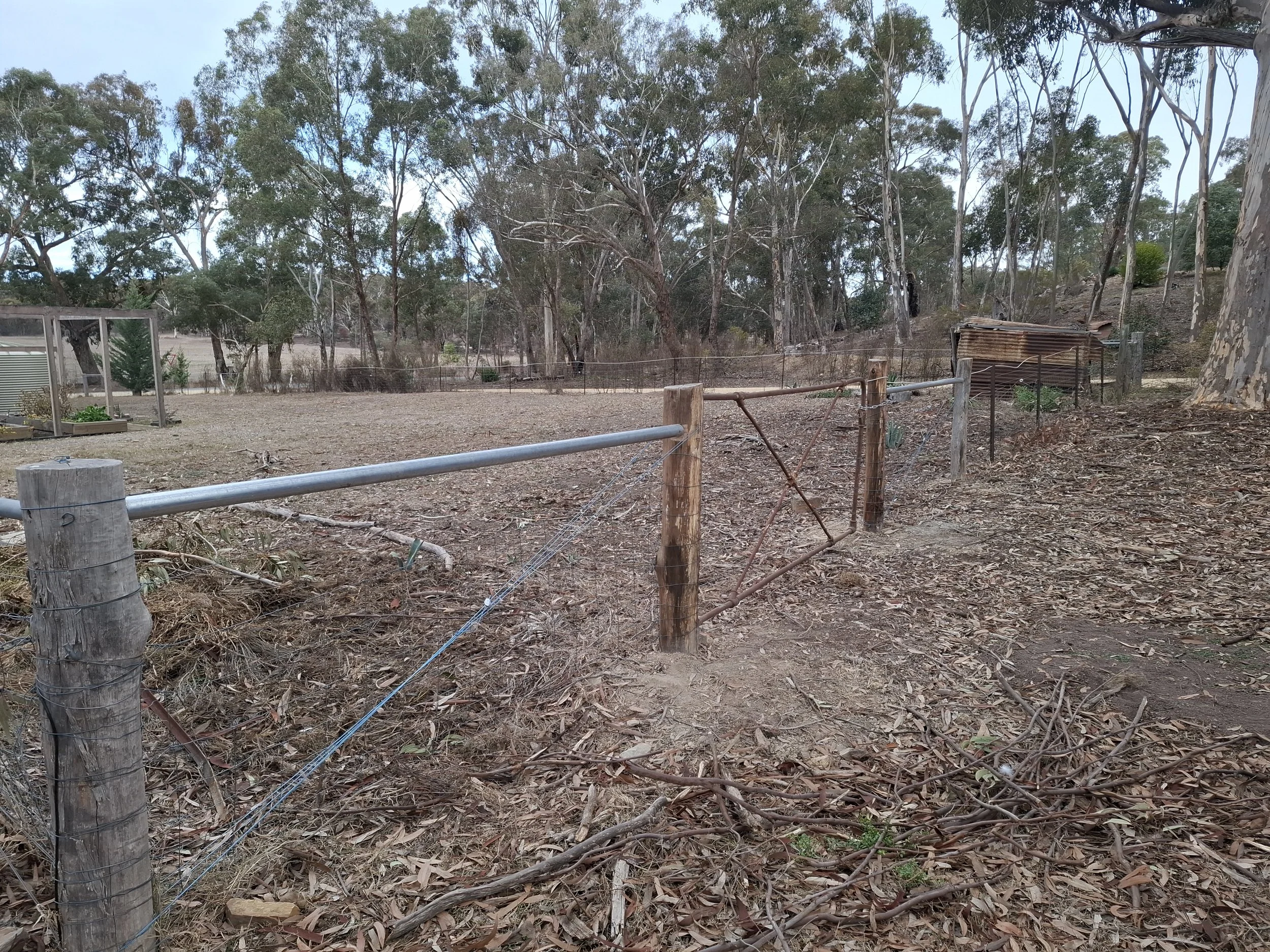 A fenced area with a broken section of fencing, wooden posts, and wire in a rural, wooded landscape with trees and a small shed in the background.